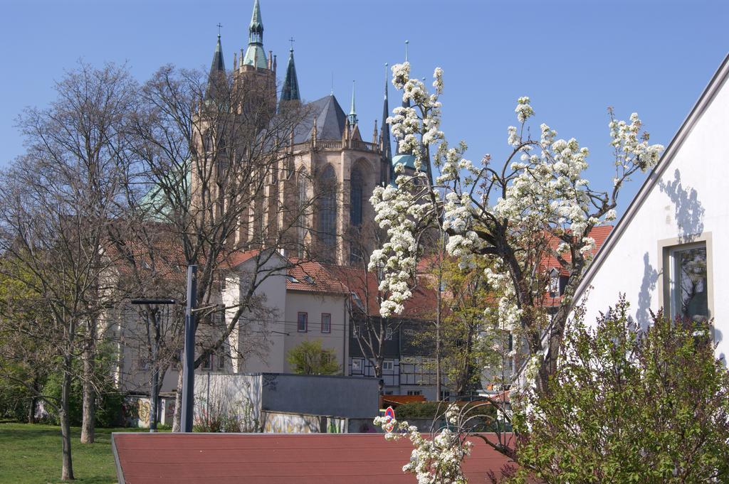Pension Am Dom Erfurt Zewnętrze zdjęcie